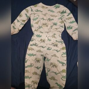 Dinosaur Print Toddler 2T Set